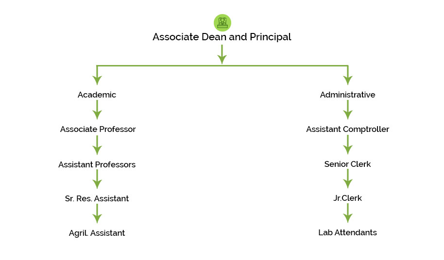 Organizational Structure